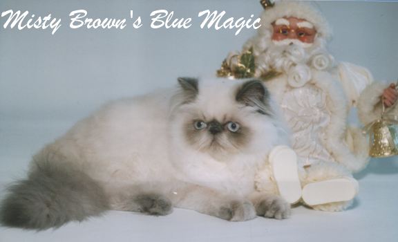 Misty Brown's Blue Magic 11-2002